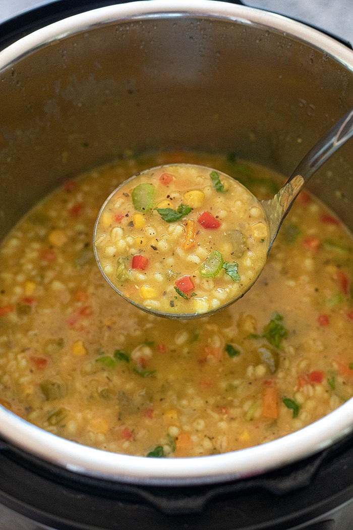 barley and lentil soup instant pot